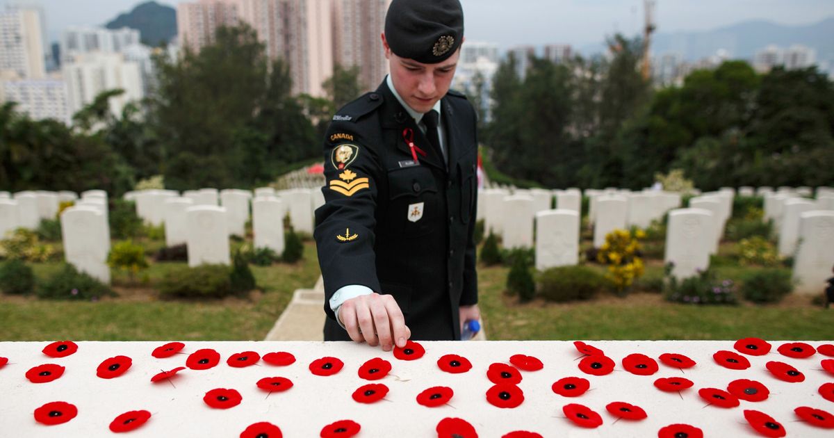 روش صحیح نصب و استفاده از نماد شقایق برای Remembrance Day