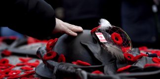 ده دانستنی کوتاه درباره Remembrance Day در کانادا Justin Tang/Canadian Press