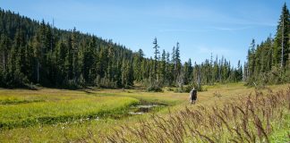 املاک خصوصی و حق ورود شهروندان به اراضی طبیعی