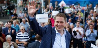 اعلام کنارهگیری اندرو شیر از رهبری حزب محافظهکار کانادا