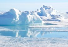 در سال ۲۰۲۰ به قطب شمال بروید