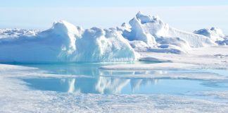 در سال ۲۰۲۰ به قطب شمال بروید