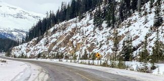 مرگ دختر جوان اهل بی.سی در حادثه رانندگی نزدیک پارک جسپر در آلبرتا