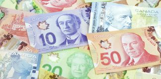 جکپات ۷۰ میلیون دلاری Lotto Max هنوز برندهای ندارد