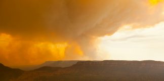 اعزام 100 نیروی کانادایی برای کمک به مهار آتش در استرالیا