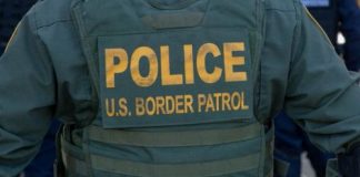 مغز یک انسان در مرز کانادا و ایالاتمتحده در گمرک توقیف شد