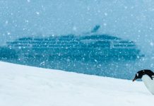 سفر به قطب جنوب با کشتی هیبریدی لوکس و دوستدار محیط زیست