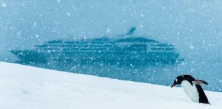 سفر به قطب جنوب با کشتی هیبریدی لوکس و دوستدار محیط زیست