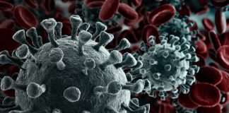 تایید پنجمین مورد ابتلا به کرونا در بریتیش کلمبیا