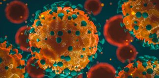 تایید هشت مورد ابتلای جدید به کرونا در بریتیش کلمبیا