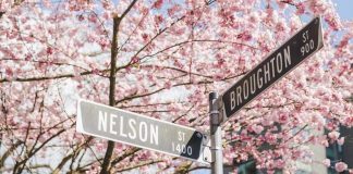 تور مجازی بهار ونکوور با عکسهای شکوفههای گیلاس