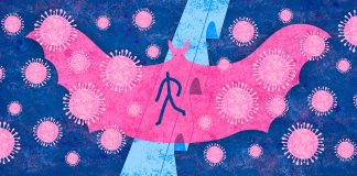 کروناویروس از کجا آغاز شد؟