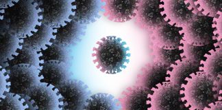 آیا هورمونهای جنسی زنانه موجب افزایش ایمنی مردان در برابر کروناویروس میشوند؟