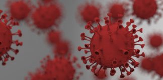 بهبود بیش از 1500 نفر مبتلا به کرونا در کانادا