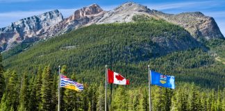 وزرای سلامت آلبرتا و بریتیش کلمبیا درباره سفر بین استانها هشدار دادند