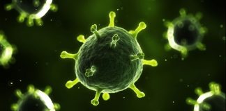 گرمایش زمین و خطر آزاد شدن ویروسهای باستانیِ مناطق منجمد