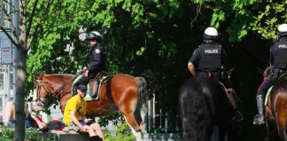 عذرخواهی شهردار تورنتو به خاطر ازدحام پارک ترینیتی بِلوودز