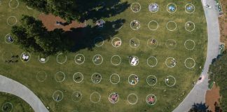 احتمال استفاده از دایرههای فاصلهگذاری اجتماعی در پارکهای تورنتو