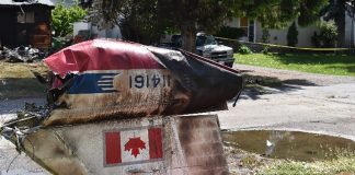 برخورد با یک پرنده دلیل احتمالی سقوط مرگبار هواپیمای Snowbird