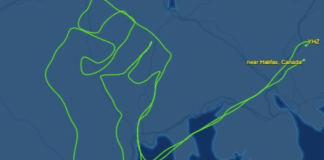 خلبان کانادایی با پروازی به شکل مُشت افراشته، با جنبش ضد نژاد پرستی همراهی کرد