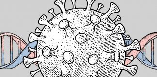 تاثیر مشخصات ژنتیکی و گروه خونی بر ریسک ابتلا به COVID-19