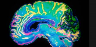 کروناویروس میتواند منجر به آسیبهای مغزی جدی شود