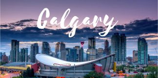 ده حقیقت خواندنی درباره کلگری