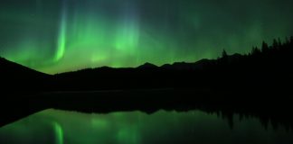 آلبرتای زیبا: تماشای صورتهای فلکی در پارک جَسپِر