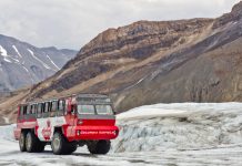 مرگ سه نفر در وارونه شدن اتوبوس در پارک ملی جسپر