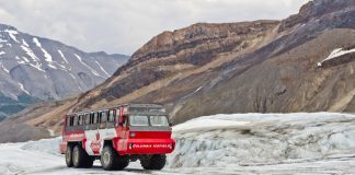 مرگ سه نفر در وارونه شدن اتوبوس در پارک ملی جسپر