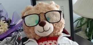 سلبریتیها به دنبال پیدا کردن خرس عروسکی دزدیده شده