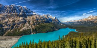 آلبرتای باشکوه: دریاچهی Peyto Lake یک سورپرایز فیروزهای