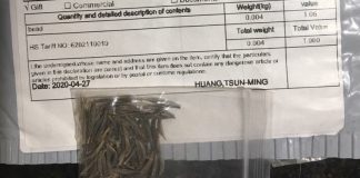 بیش از 750 کانادایی بستههای ” بذر ناخواسته” دریافت کردند unsolicited seeds