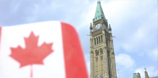 تعهد دولت فدرال به ایجاد یک میلیون شغل federal government