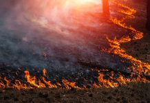 دود ناشی از آتشسوزیهای عظیم غرب آمریکا به آلبرتا رسید fires