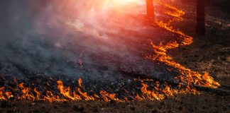 دود ناشی از آتشسوزیهای عظیم غرب آمریکا به آلبرتا رسید fires