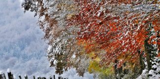 پیشبینی آبوهوای کانادا برای پاییز و زمستان