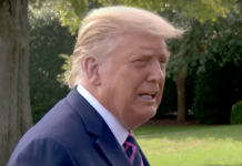 گزارش نیویورک تایمز از عدم پرداخت مالیات توسط ترامپ و تکذیب این خبر توسط ترامپ trump