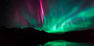 فستیوال Dark Sky امسال را از دست ندهید!