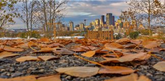 این هفته روزهای خنک تری برای هوای کلگری در راه است weather calgary