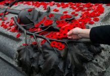 تاریخچه نماد شقایق در روز Remembrance Day