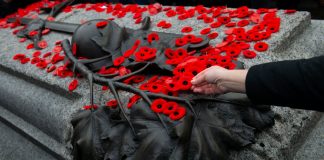 تاریخچه نماد شقایق در روز Remembrance Day