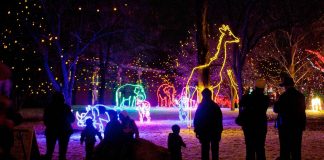 کلگری ZOOLIGHTS امسال درخشانتر از همیشه برگزار میشود