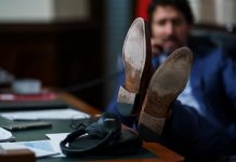 عکاسِ جاستین ترودو پشت صحنه سال گذشتهٔ او را منتشر کرد