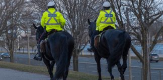 تفاوت بین حکومت نظامی و فرمانِ ماندن در خانه چیست؟