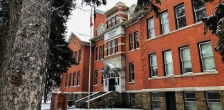 تغییر نامگذاری سیستم مدارس آلبرتا به دلیل COVID-19