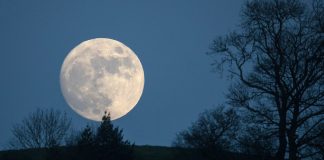 امشب تماشای Wolf Moon را از دست ندهید