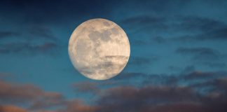 Worm Moon، نویدبخش آغاز بهار
