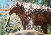 معرفی 10 مکان عجیب و غریب نزدیک ونکوور برای سفرهای تابستانی