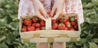 ۱۲ مزرعه نزدیک ونکوور برای چیدن انواع Berry